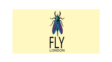 logo Fly London